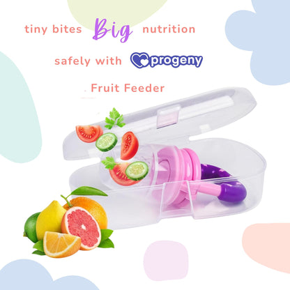 Silicone Fruit/Food Nibbler, Soft Pacifier/Feeder Teether for Baby with Extra Mesh, For Infants (Berry Purple)